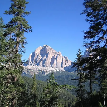 公寓 Orizzonti Montani 皮耶韦迪卡多雷