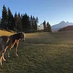 Orizzonti Montani Pieve di Cadore