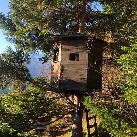Orizzonti Montani Apartamento Pieve di Cadore