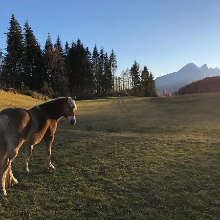 Orizzonti Montani Pieve di Cadore