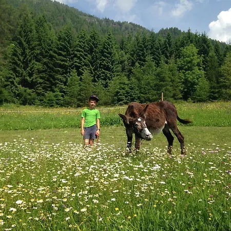 Apartamento Orizzonti Montani Pieve di Cadore