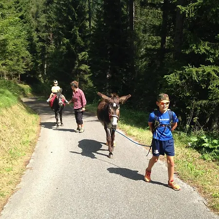 Orizzonti Montani Apartamento Pieve di Cadore