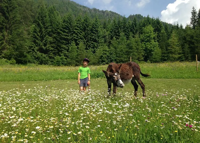Apartmán Orizzonti Montani Pieve di Cadore
