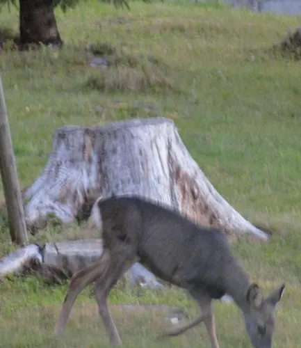 Orizzonti Montani Pieve di Cadore